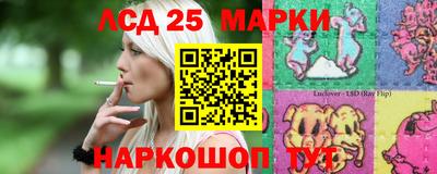 гидропоника Сланцы