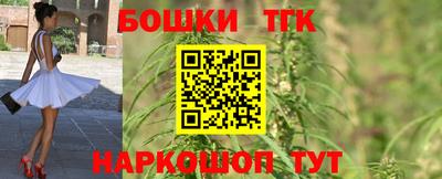 гидропоника Сланцы