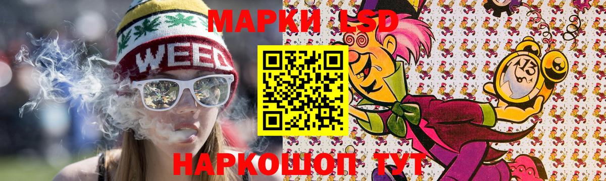 где купить наркоту  Марки NBOMe 1,8мг  Вход с VPN  Новороссийск 