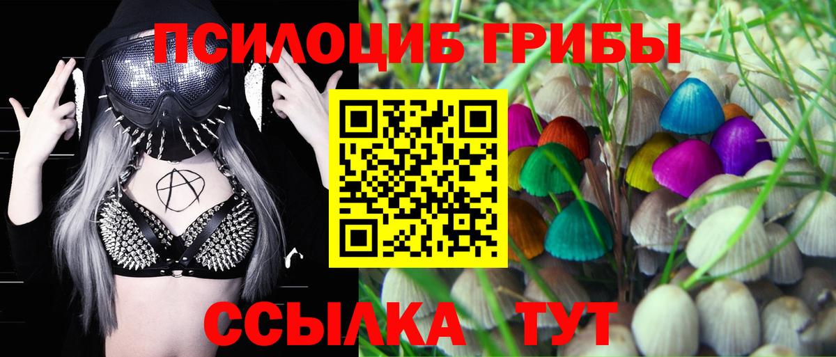 Новороссийск  Галлюциногенные грибы прущие грибы  Галлюциногенные грибы Cubensis  Вход с VPN 