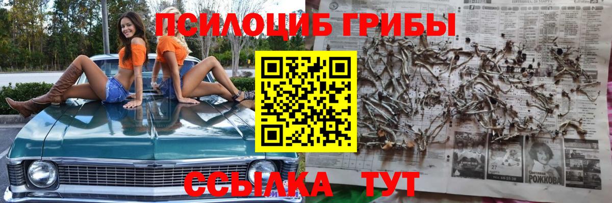 Псилоцибиновые грибы GOLDEN TEACHER Новороссийск