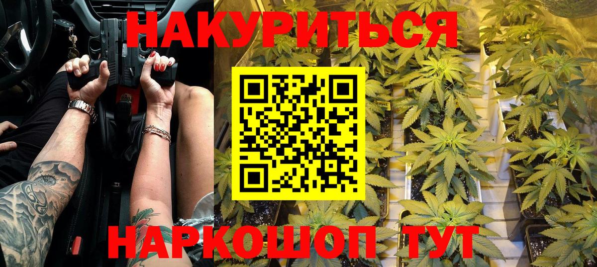Новороссийск  Бошки Шишки план  Канабис конопля  Вход с VPN  Каннабис сатива 